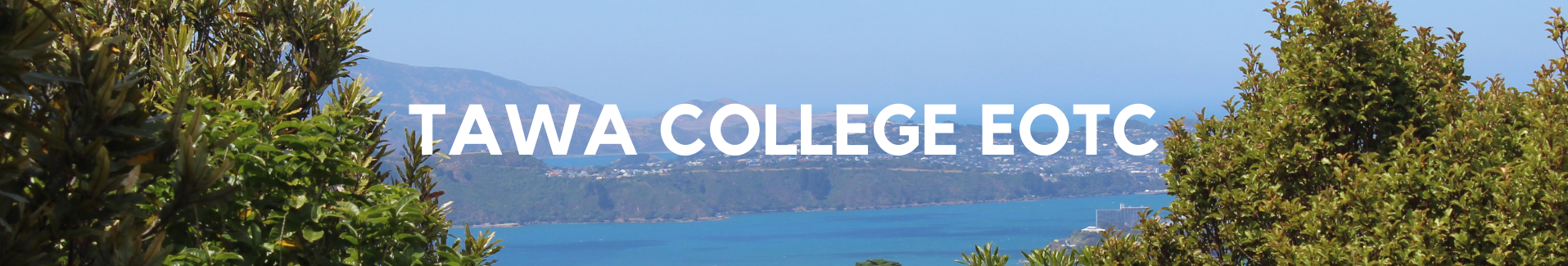 Image of banner