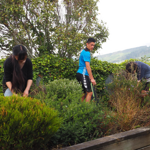 Image of community service